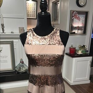 Donna Rocco Sequin Sleeveless Dress - Pink and Gold